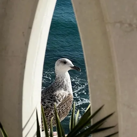 Sky & Sea Золотые Пески