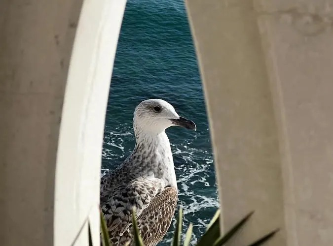 Sky & Sea Zlate písky